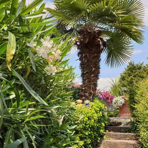 Il giardino fiorito della pensione Weinberg a Rifiano
