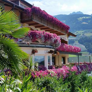 Blumenterrasse Restaurant Weinberg in Riffian