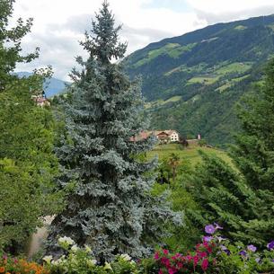 Vista dal balcone