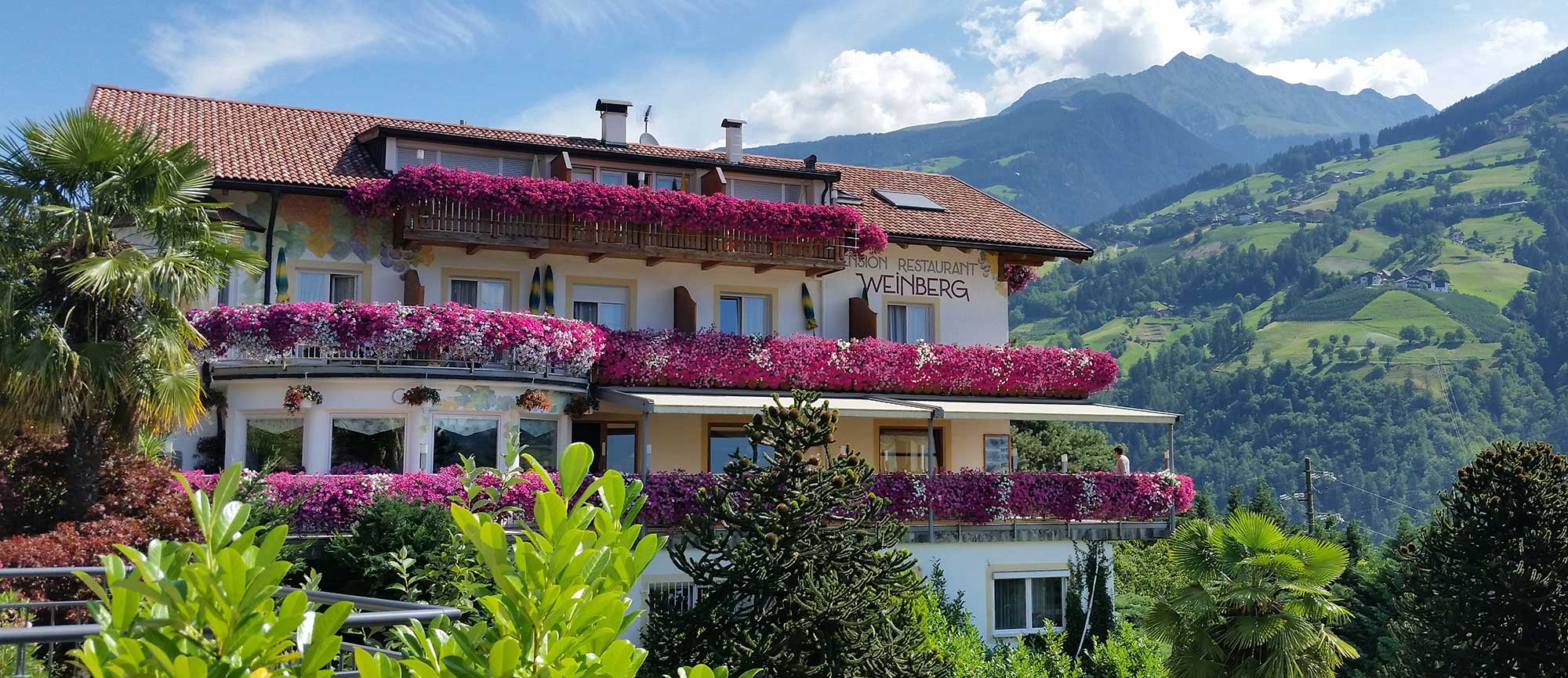 Pension Restaurant & Café Weinberg in Riffian - Passeiertal