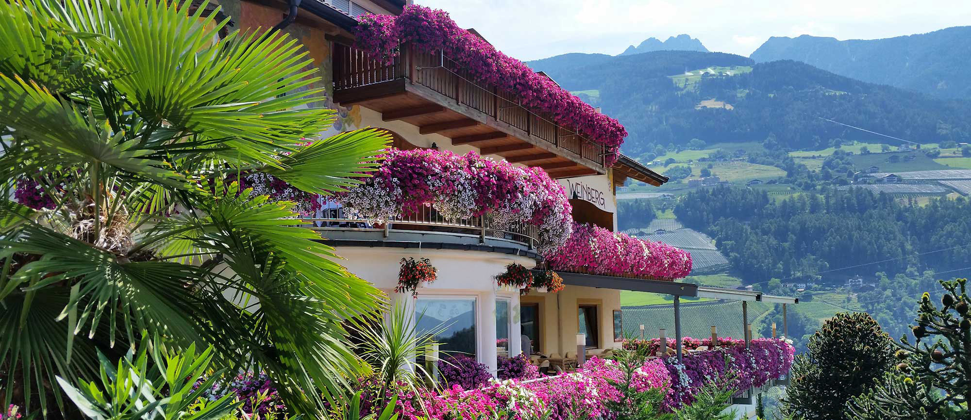 Pension Weinberg in Riffian oberhalb von Meran