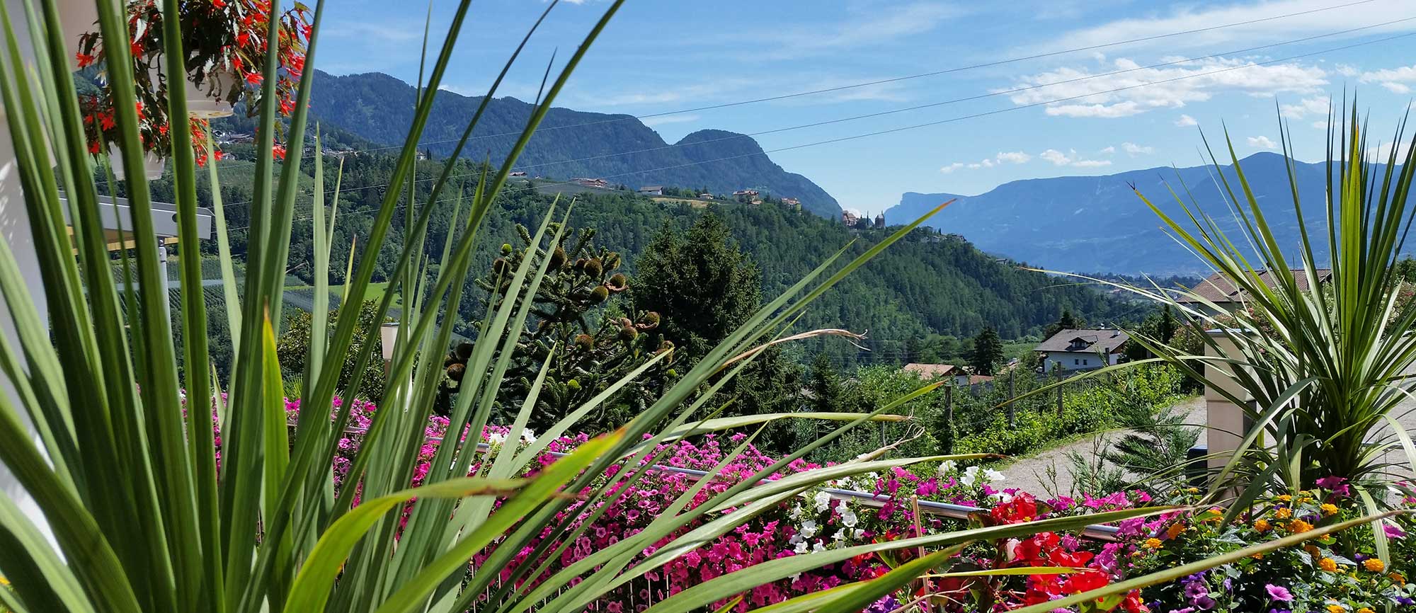 Vista dalla terrazza soleggiata