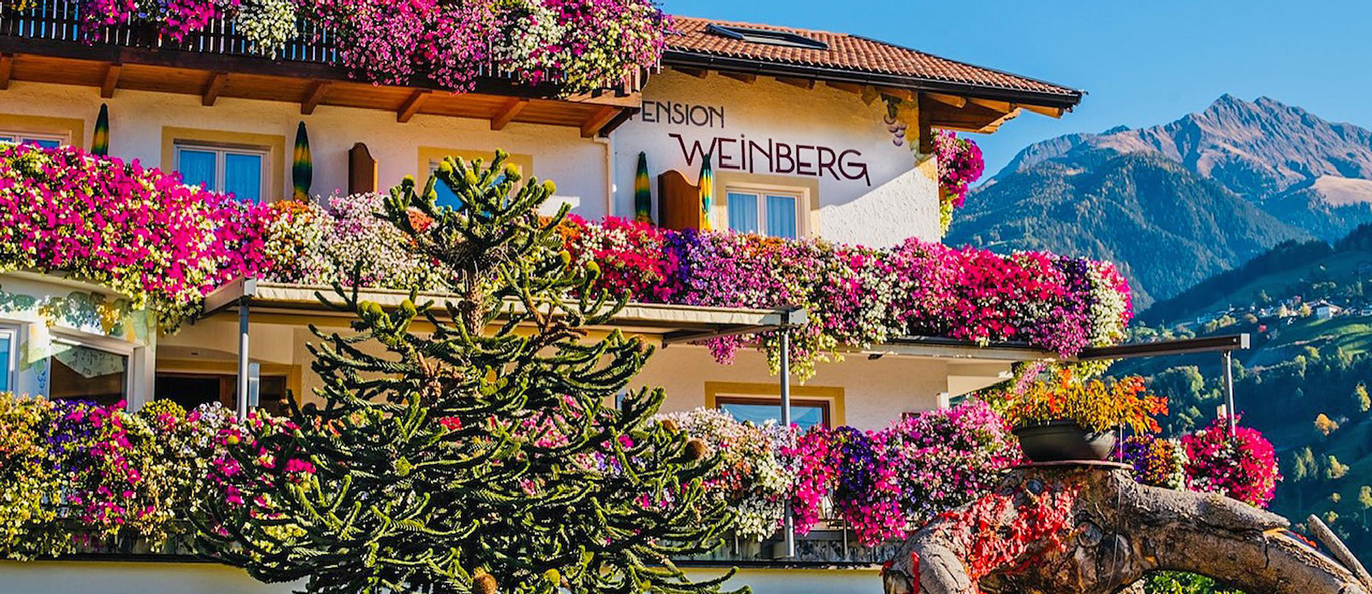 Pensione e ristorante Weinberg a Rifiano