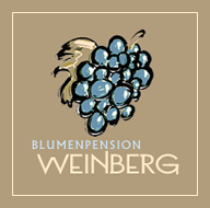 Pensione Weinberg a Rifiano